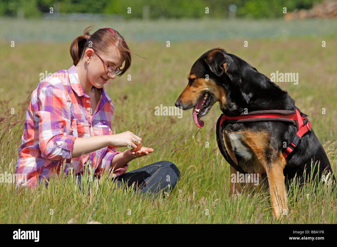 ein junges Mädchen und ihr großer Hund Stockfoto