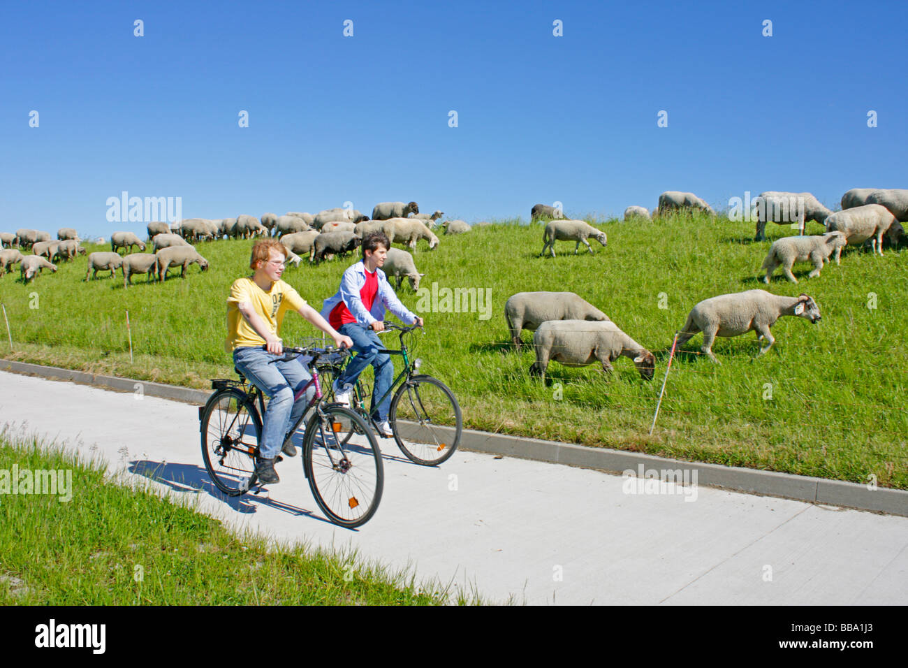 Elbe-Radweg in Stiepelse in Niedersachsen Stockfoto