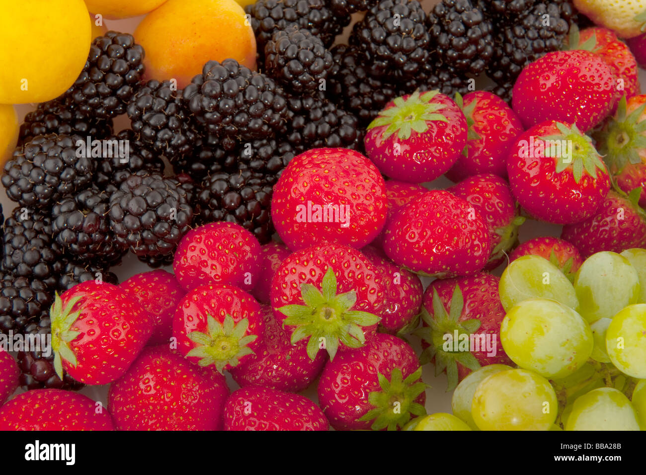 Brombeeren Erdbeeren Trauben und Pflaumen Stockfoto