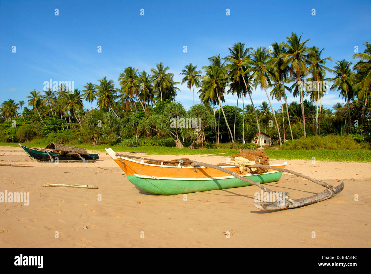 Angelboote/Fischerboote mit Ausleger am Sandstrand gesäumt von Palmen, Talalla bei Dondra, Ceylon, Sri Lanka, Indischer Ozean, South Stockfoto