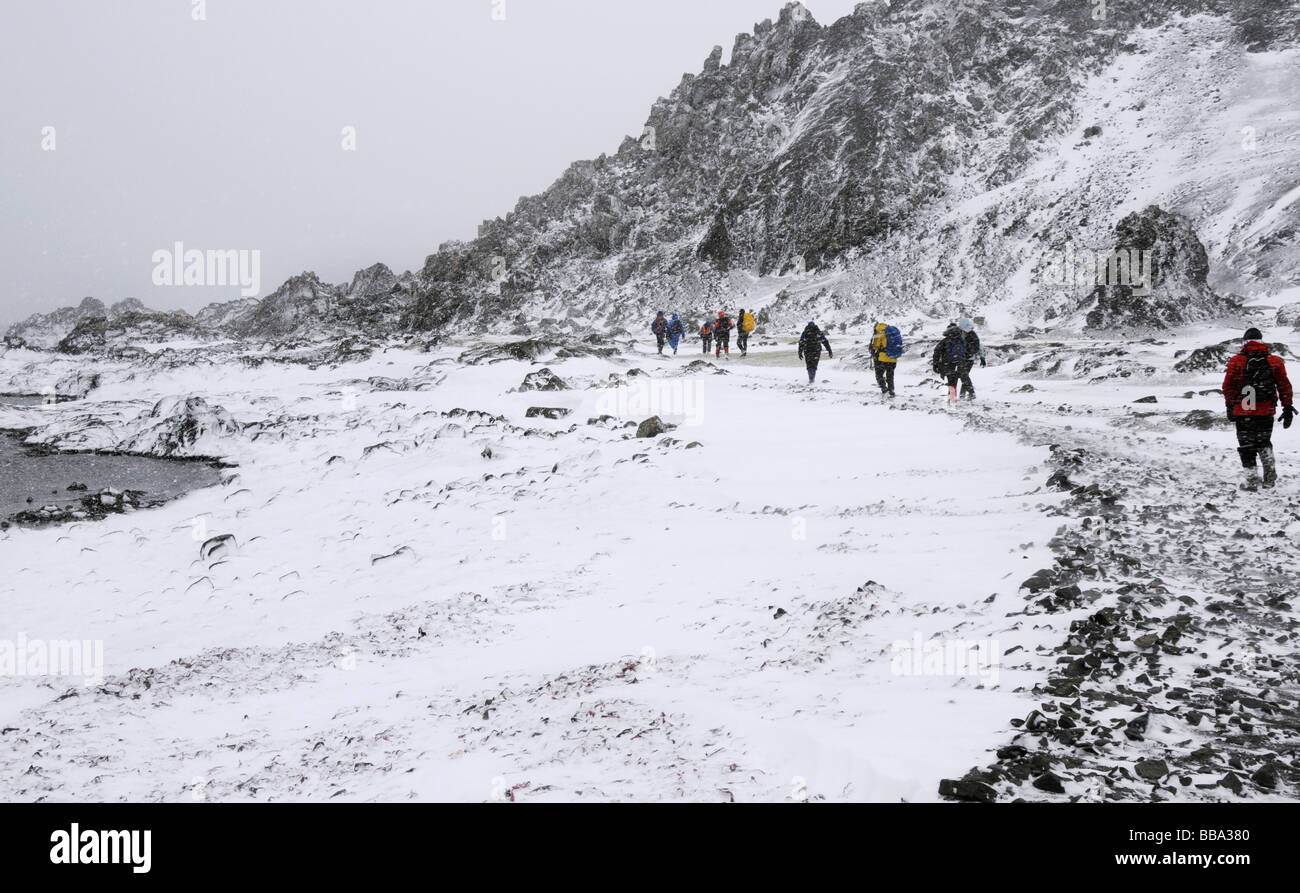 Wandern über den Strand auf King George Island in der Nähe von Bellingshausen-Station in der Antarktis Expedition-Team-Mitglieder Stockfoto