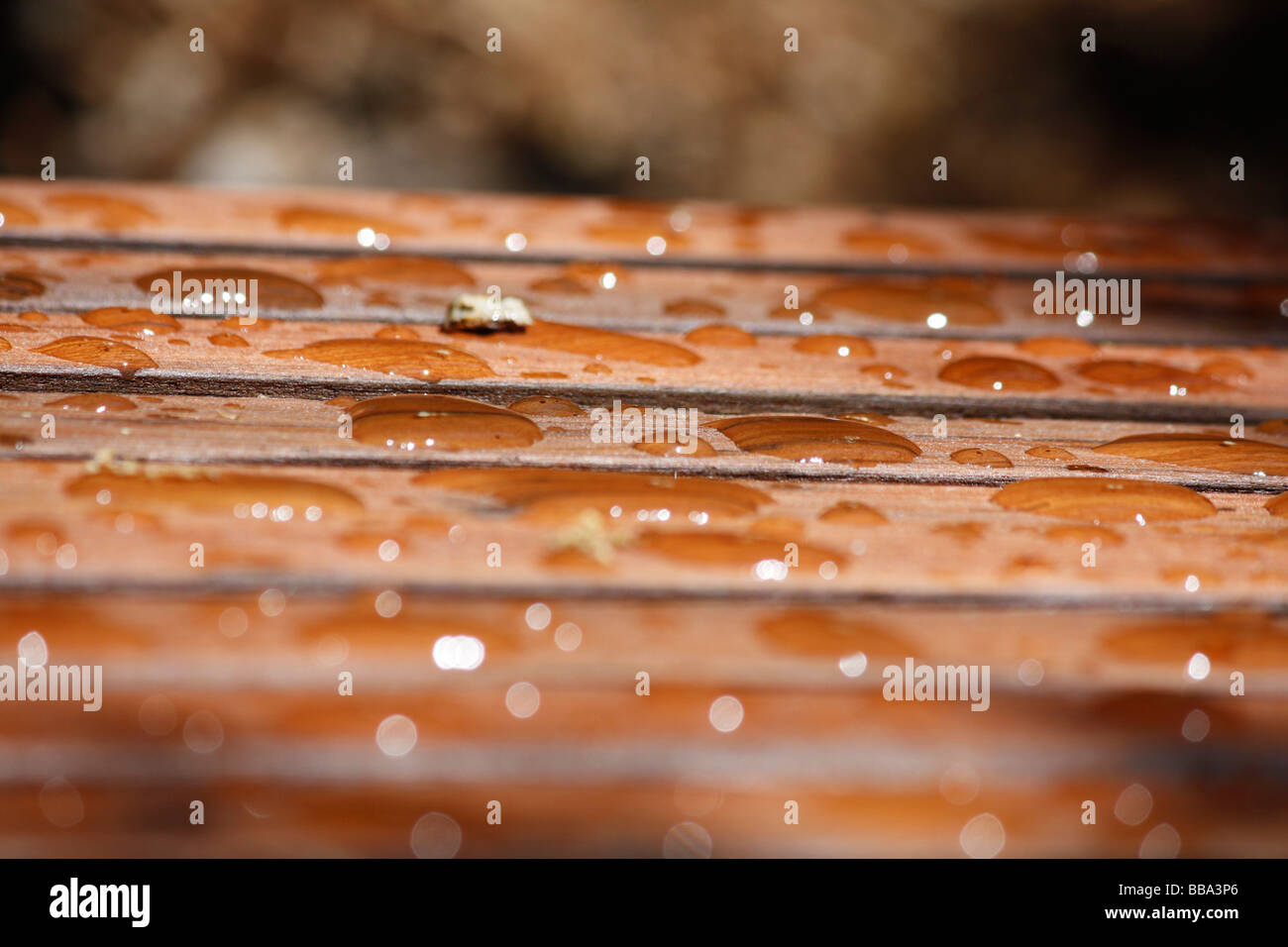 Wassertropfen auf Holzbank Stockfoto