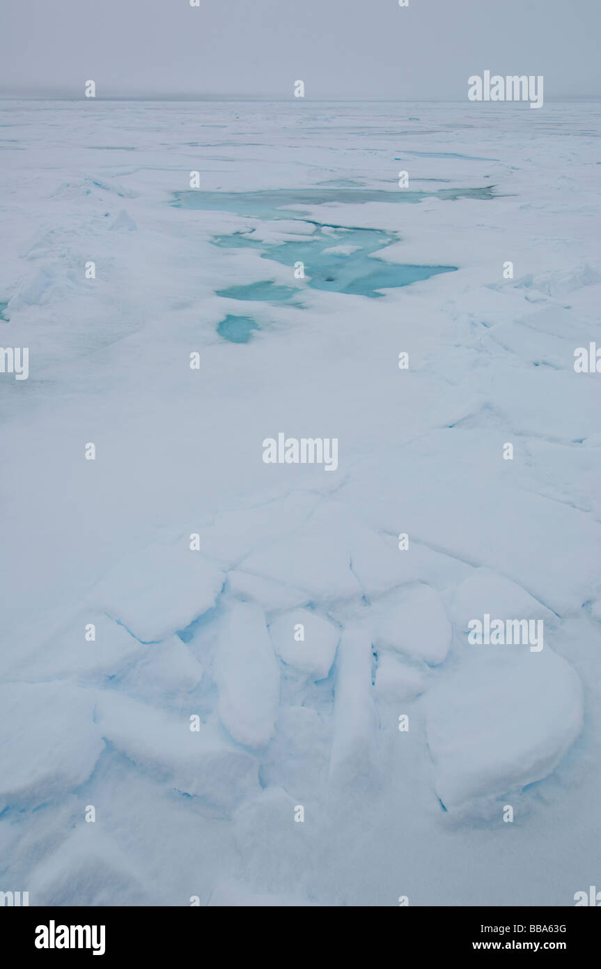 Nördlichen Svalbard Landschaften nähert sich der Nordpol Eisbeutel Stockfoto