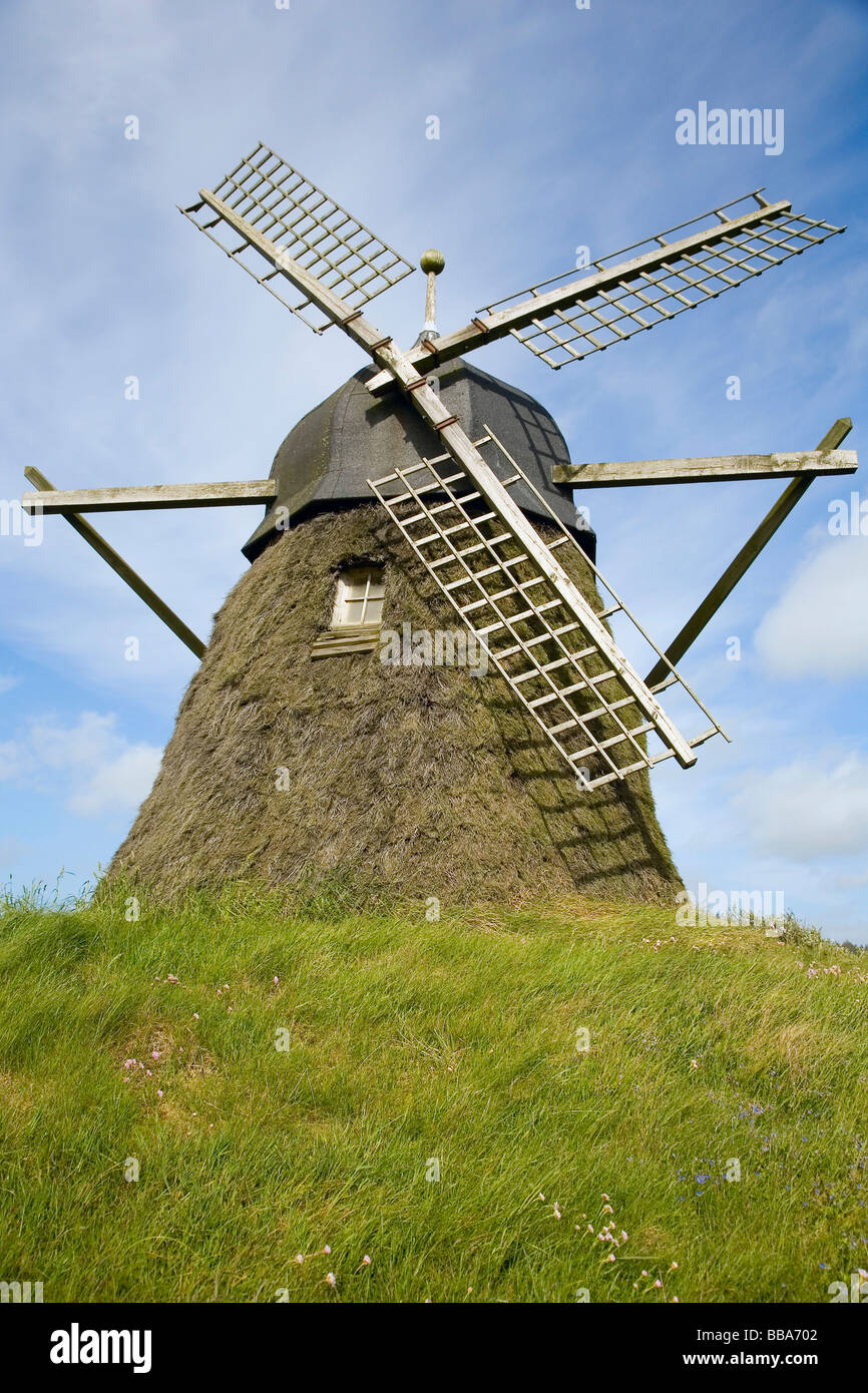 Alte Heide reetgedeckte Windmühle in Nord-Jütland, Dänemark Stockfoto