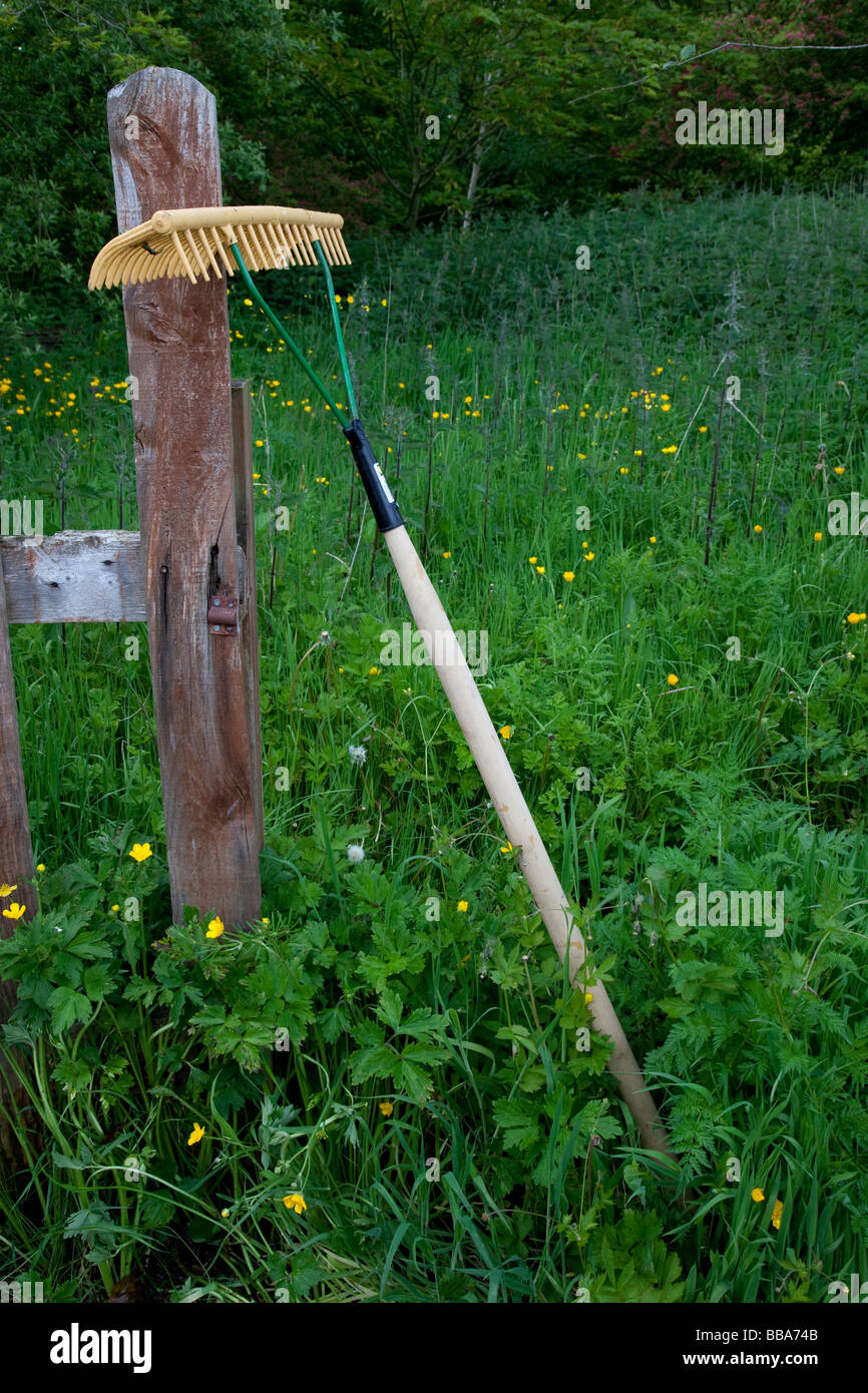 Grass-Rechen mit verwilderten Rasen und Unkraut im Hausgarten Stockfoto