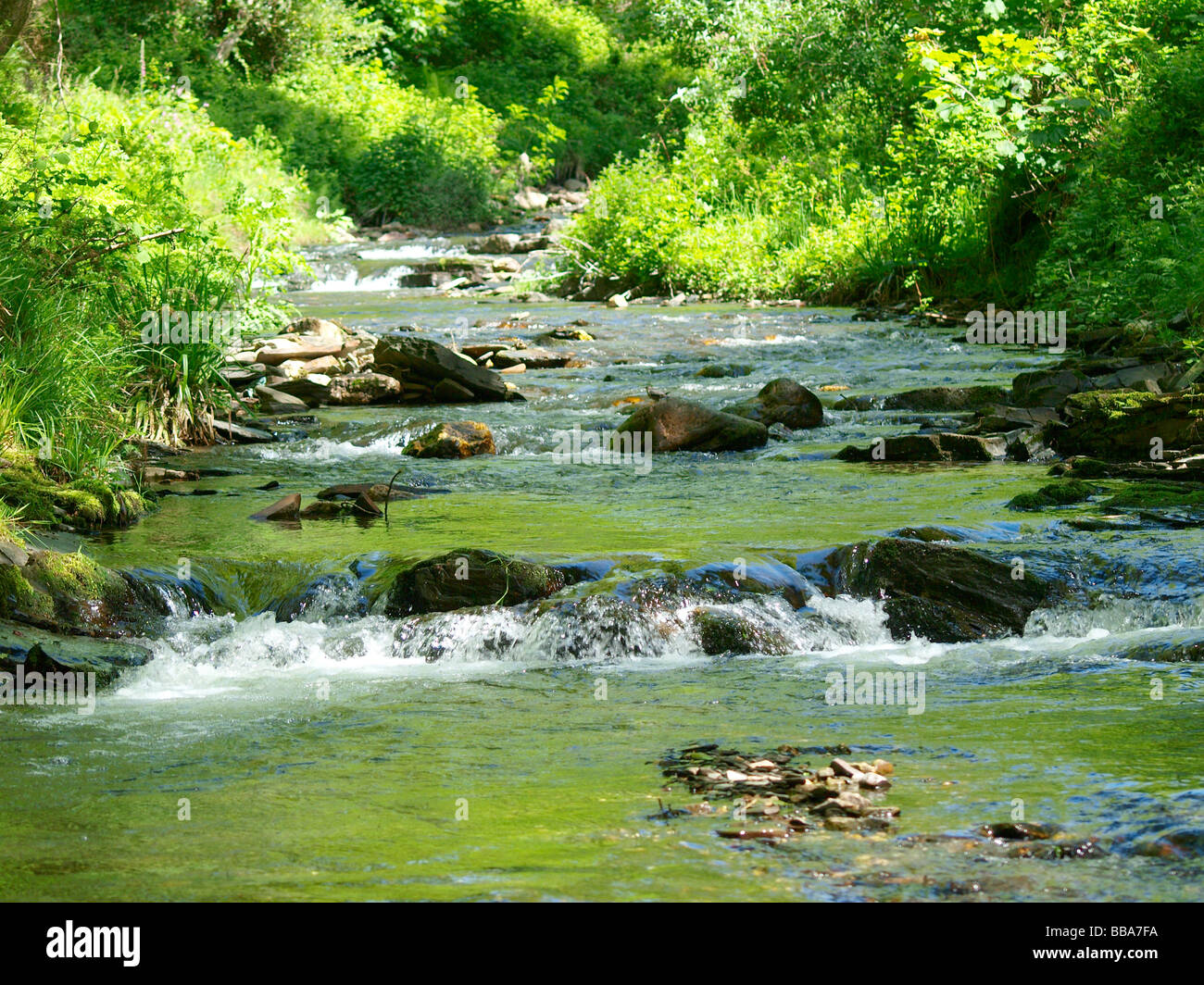 Fluss Valency hetzen über Felsen bilden einen kleinen Wasserfall und umgeben von grünen Bäumen, in Boscastle Stockfoto