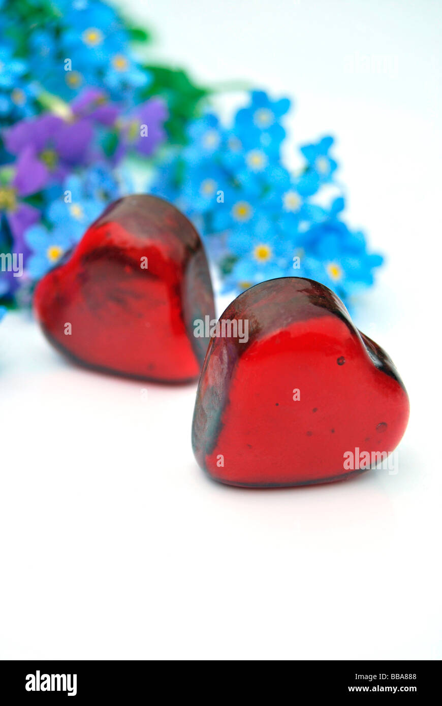 Zwei Glas-Herzen mit Vergissmeinnicht (Myosotis) und Aubretia (Aubrieta) Stockfoto