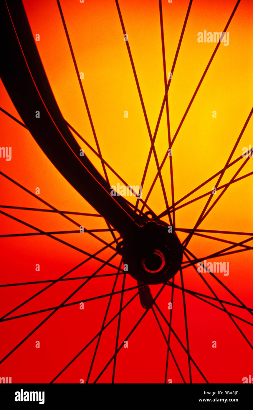 Fahrradspeichen Stockfoto