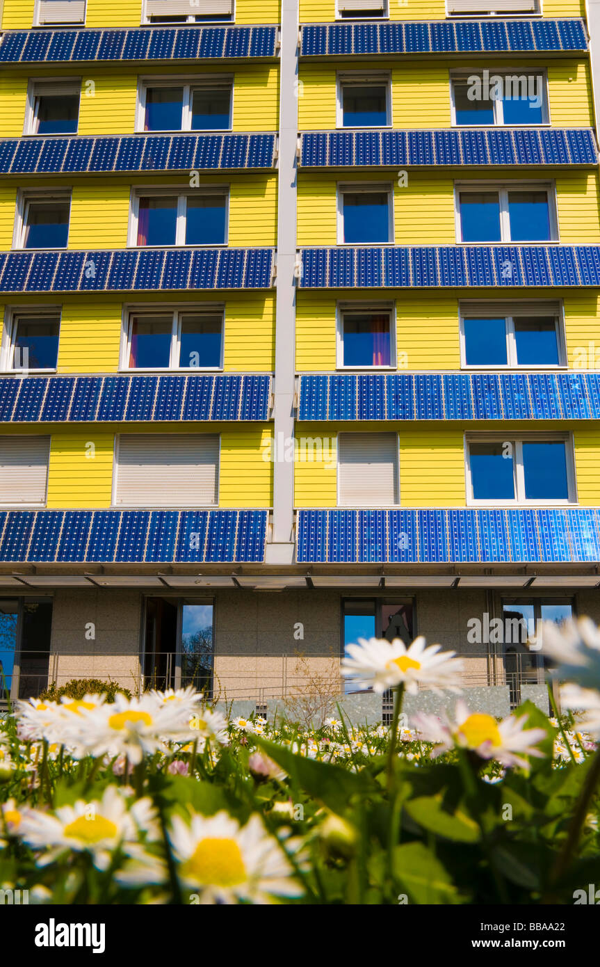 Wohnhaus mit Sonnenkollektoren und Gänseblümchen Stockfoto