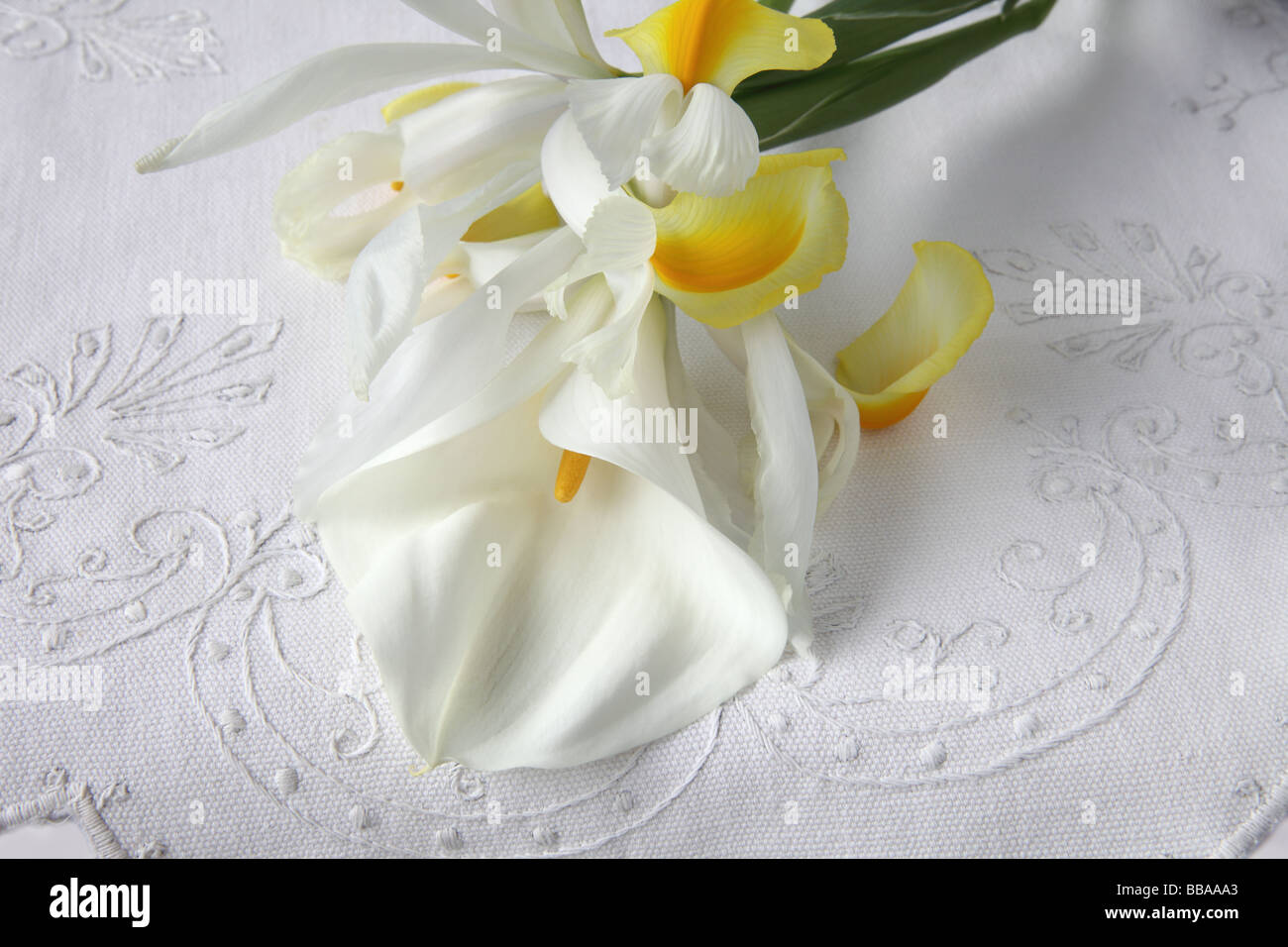 weißen Calla Lilien und gelbe Iris auf strukturiertem Leinen Stockfoto