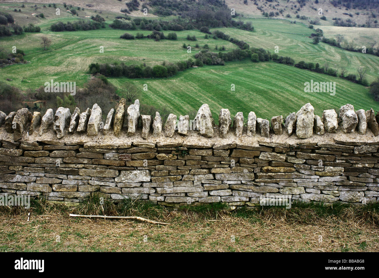 Englische Steinzaun Stockfoto