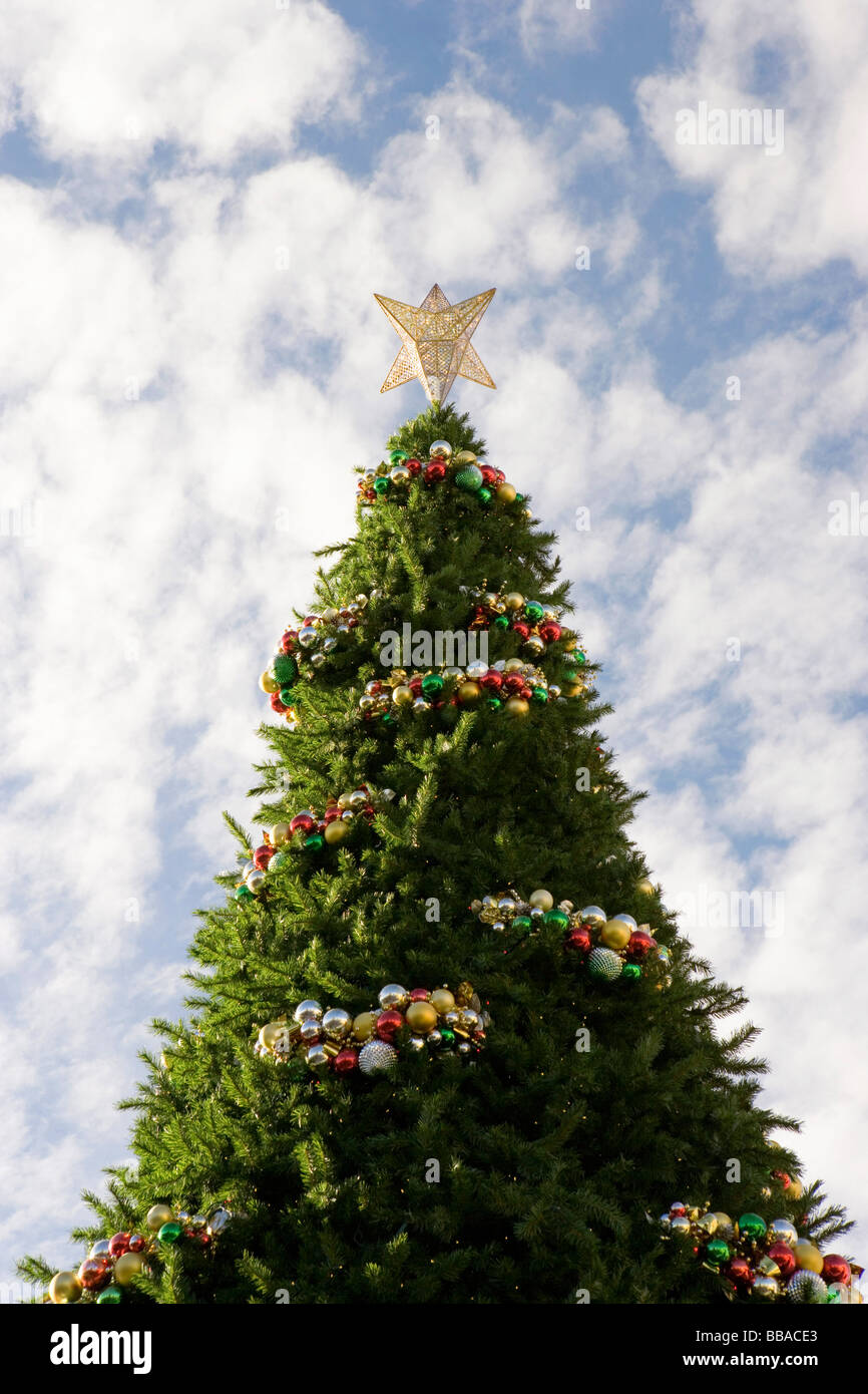 Eine große dekorierten Weihnachtsbaum, im freien Stockfoto