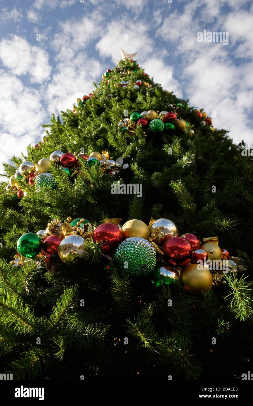 Eine große dekorierten Weihnachtsbaum, im freien Stockfoto
