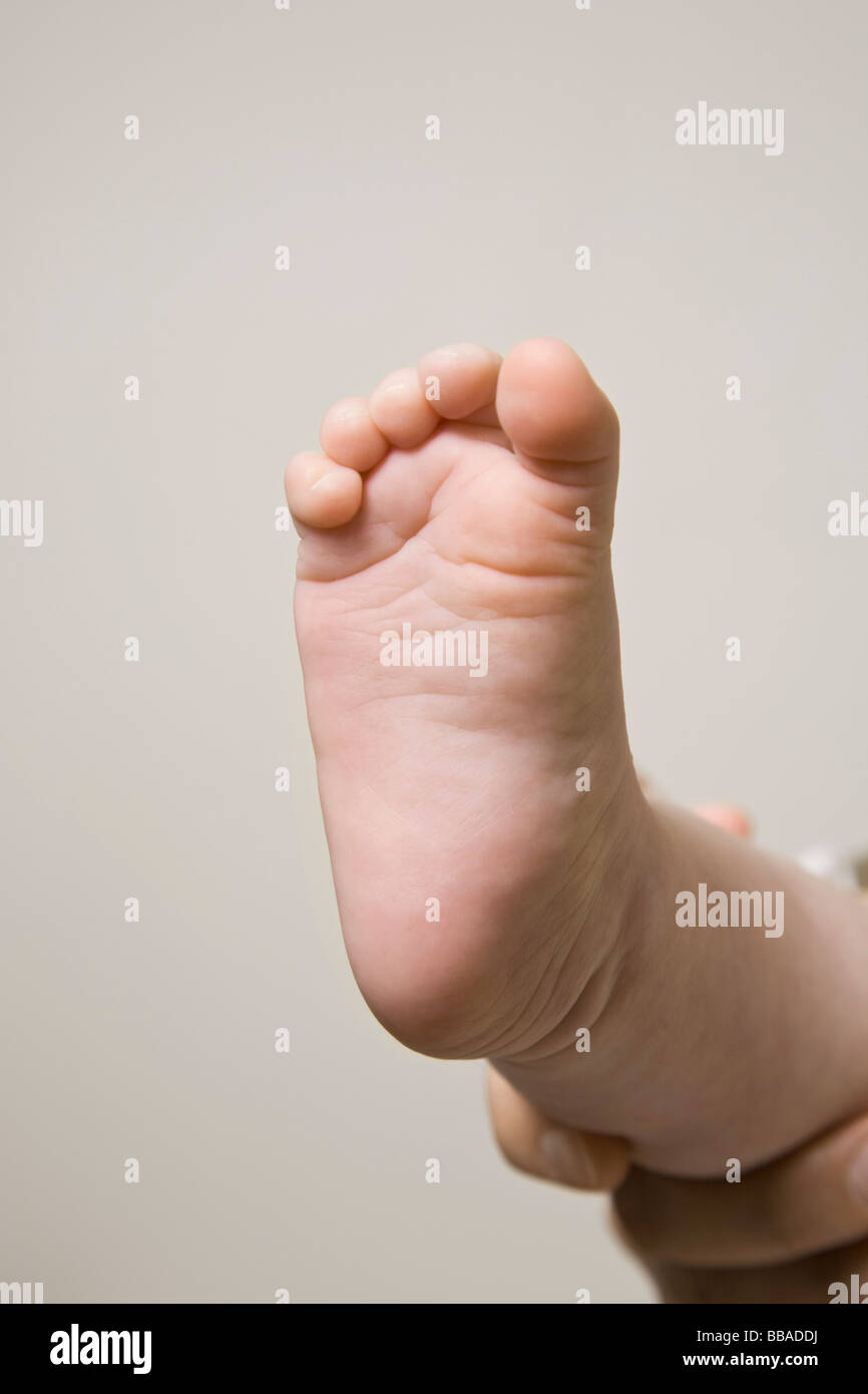 Der Fuß eines Babys Stockfoto