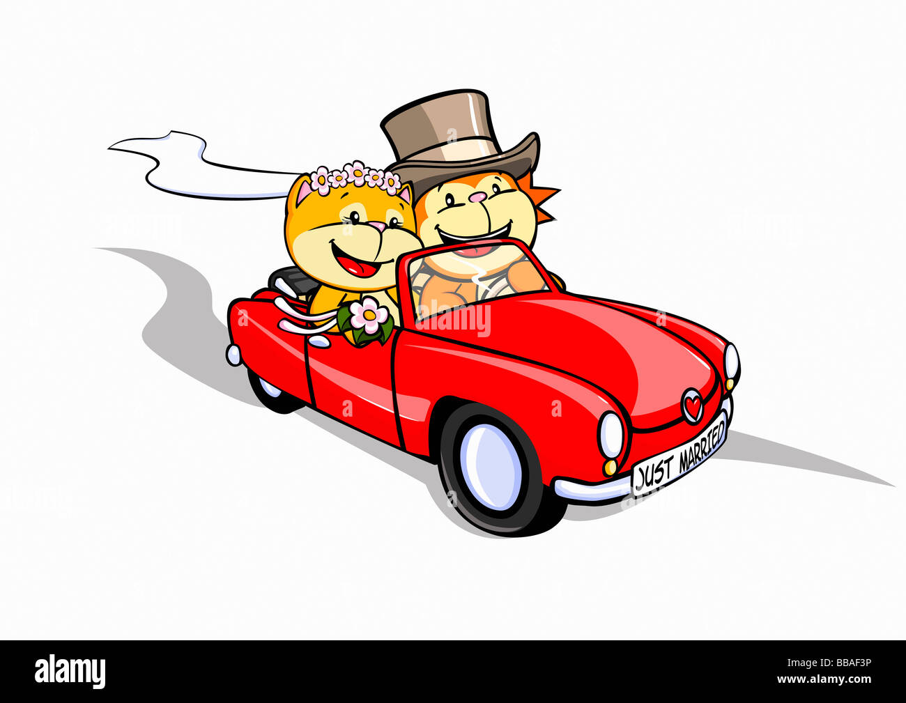 Ein Löwe und eine Katze in einem Cabrio just married Stockfoto