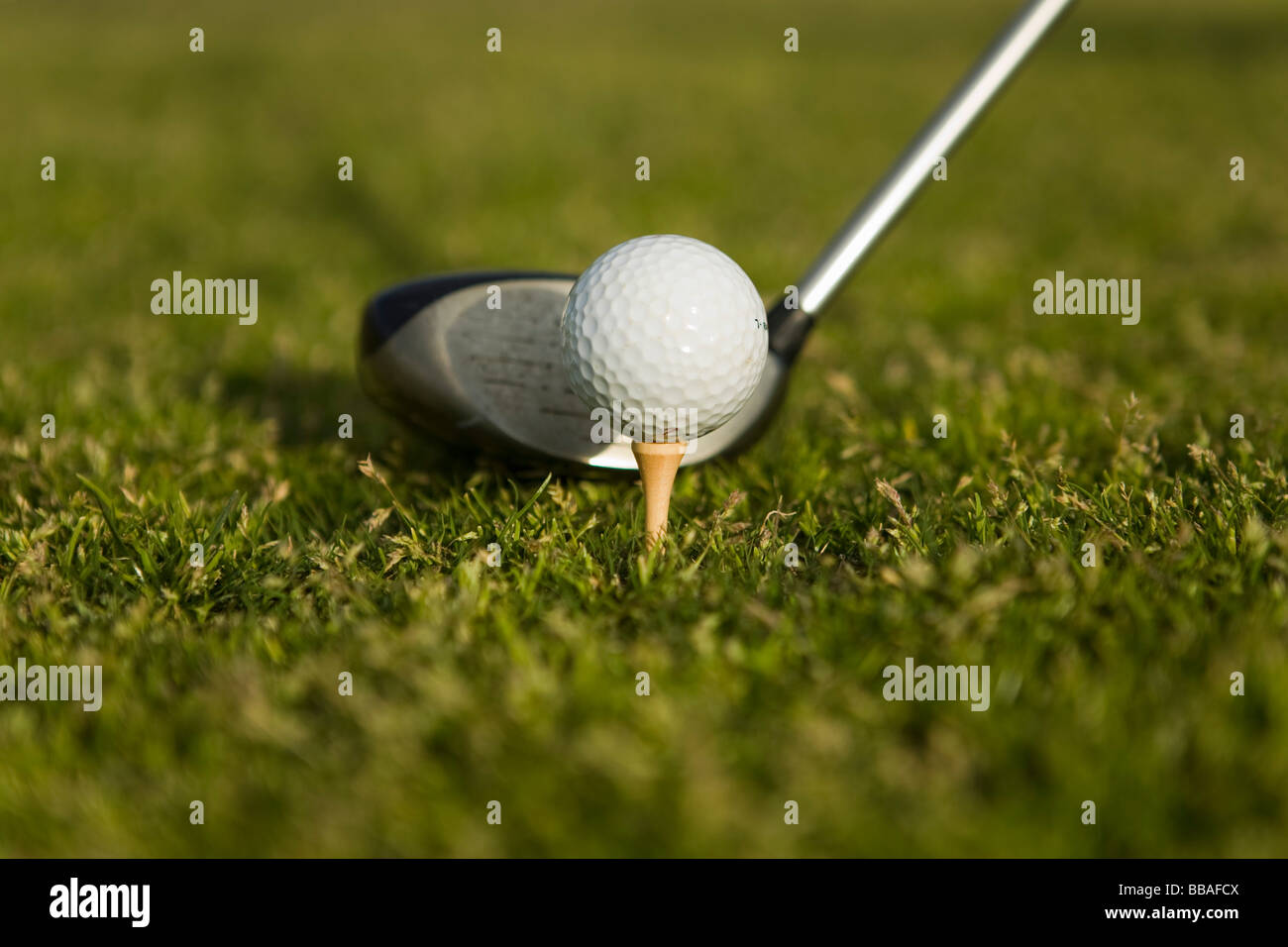 Detail eines Golfclubs neben einem Golfball auf einem t-Shirt Stockfoto