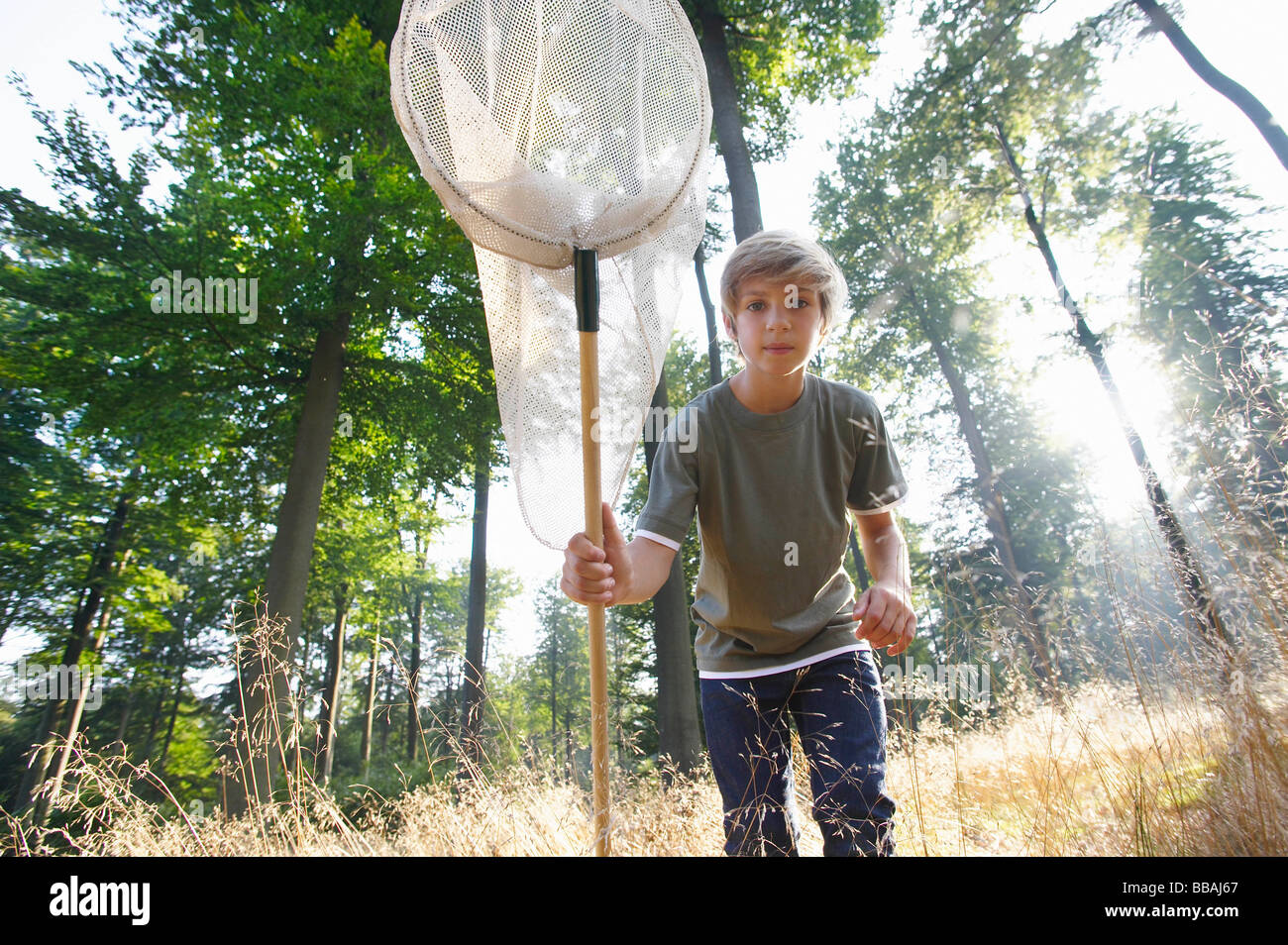 Junge mit Schmetterlingsnetz Stockfoto