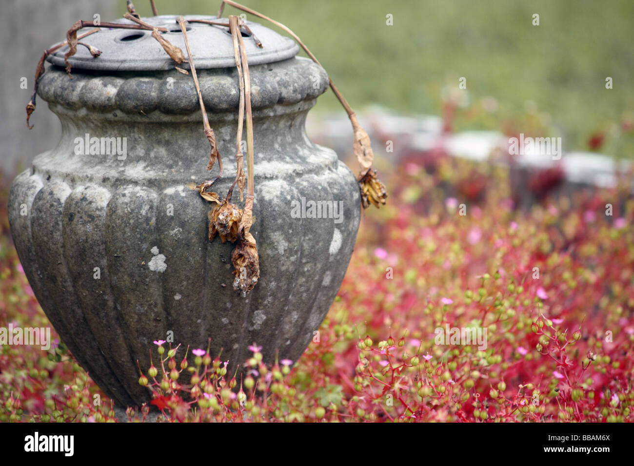 Eine Blumen Vase ruhen neben einem Grabstein mit toten Blumen Stockfoto