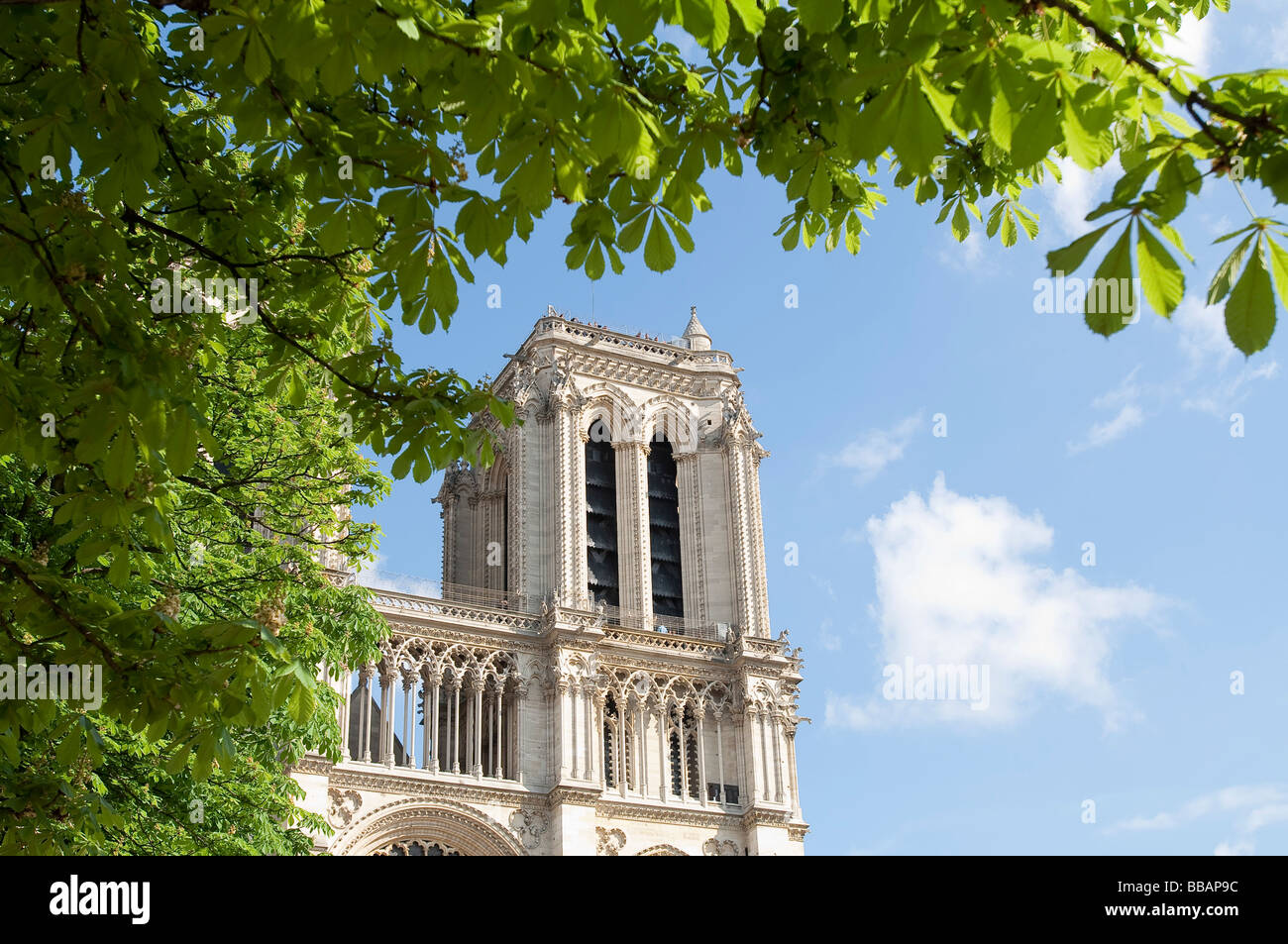 Notre Dame blauer Himmel Paris gute Fotos Stockfoto