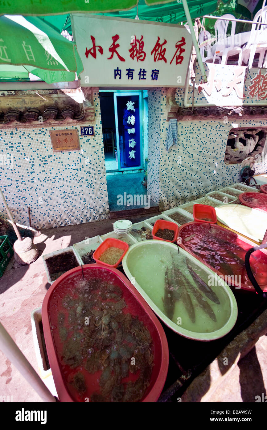 China, Provinz Zejiang, Zhoushan-Präfektur, Mount Putuo. Meeresfrüchte-Restaurant. Stockfoto