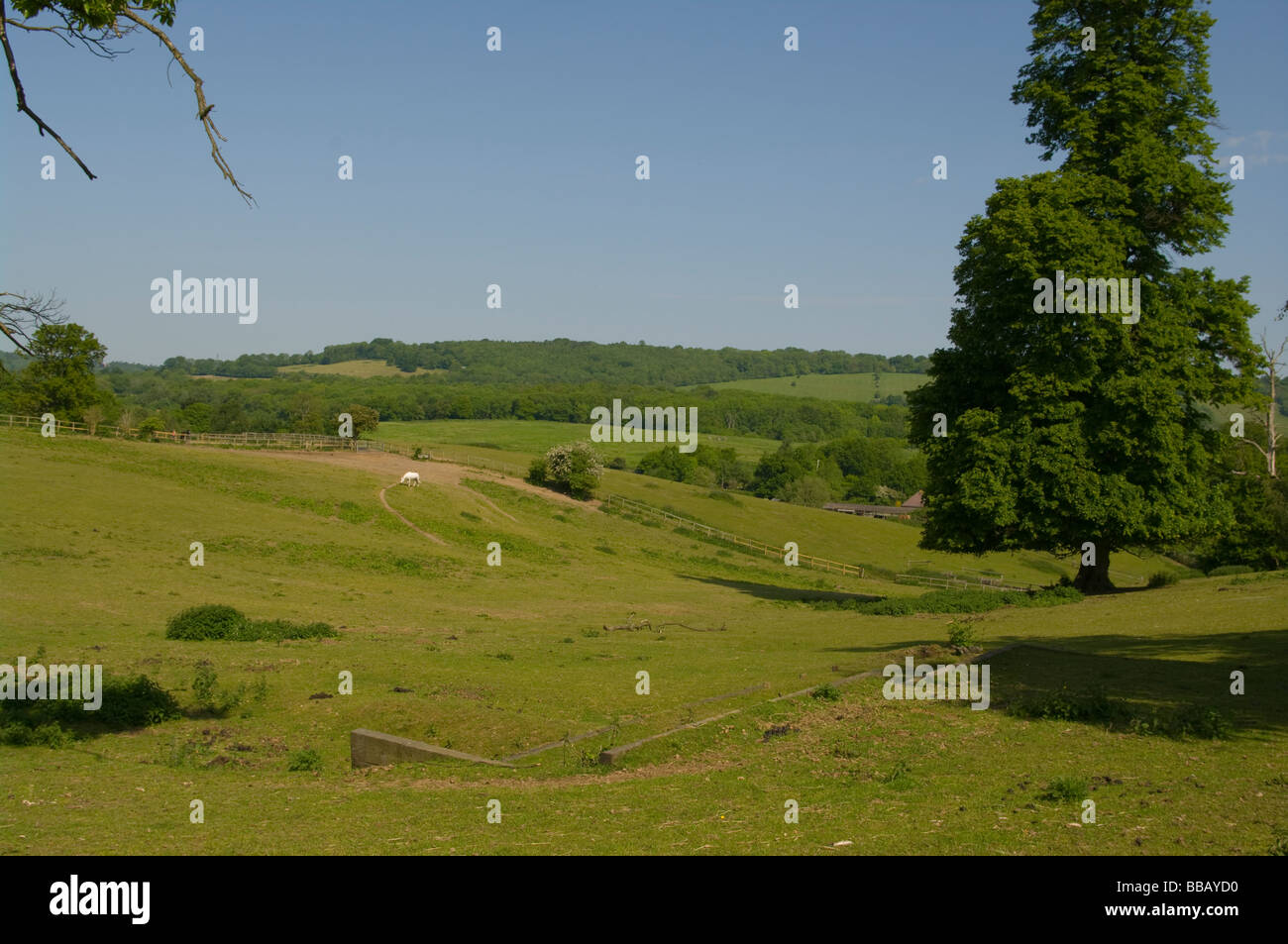 Einen Blick bis zu den North Downs aus Tandridge Surrey England Stockfoto