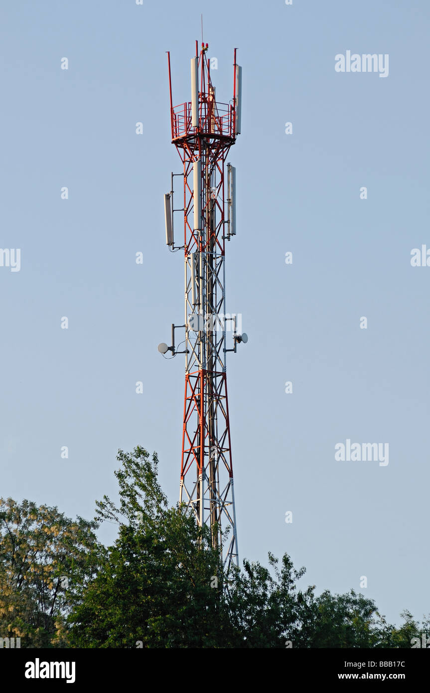 Kommunikation-Mast über Bäume Stockfoto