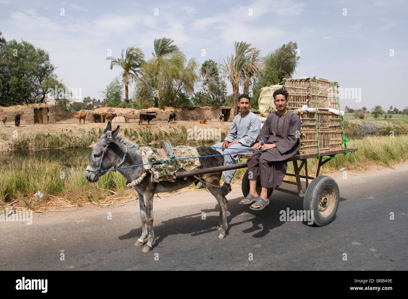 Nile River Ägypten Bauernhof Landwirt Landwirtschaft Feld Esel Wagen zwei Jungs Stockfoto