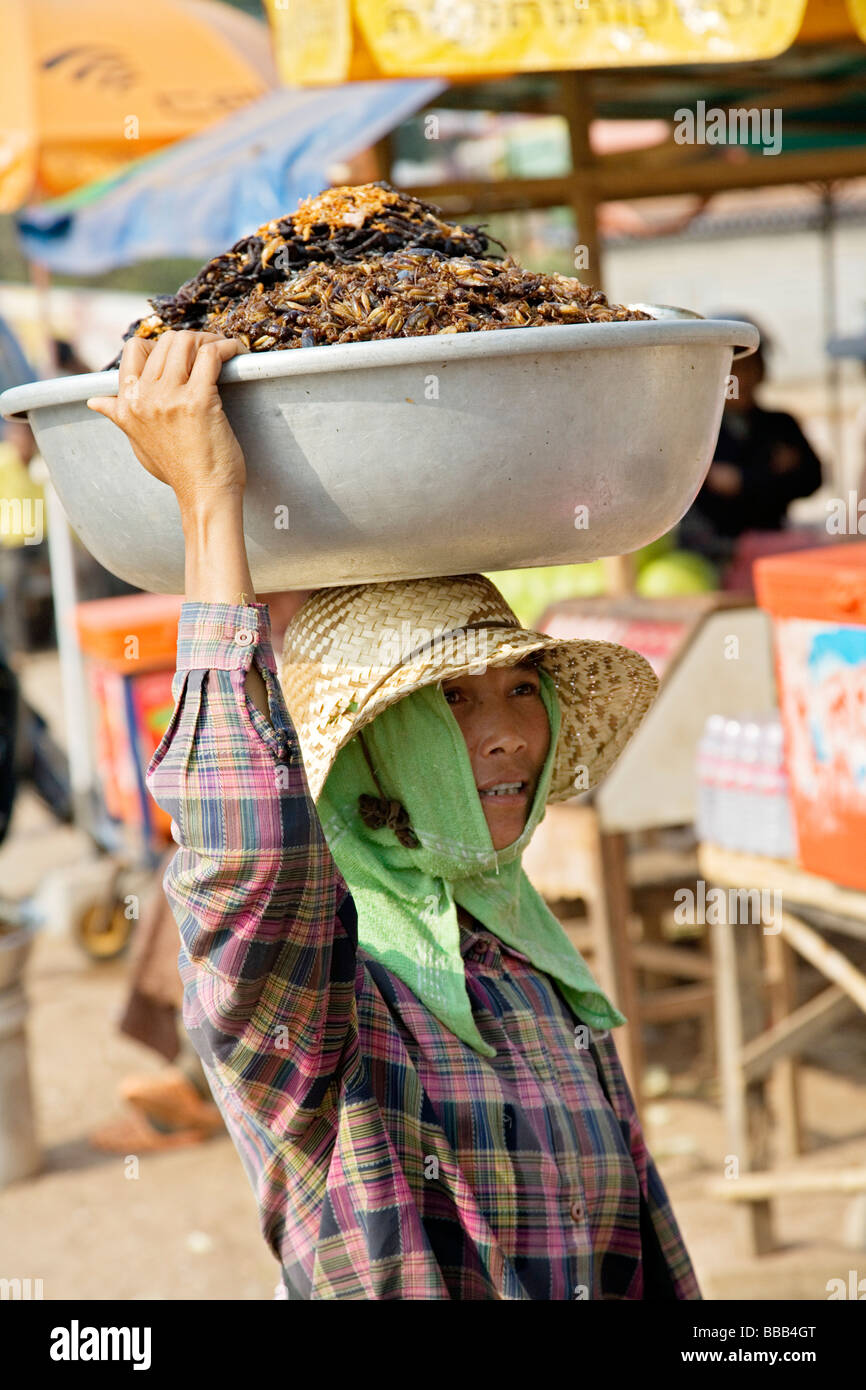 Frau verkaufen tief gebratene Vogelspinnen auf Skuom Markt an der Straße zwischen Phnom Penh und Siem Reap Stockfoto