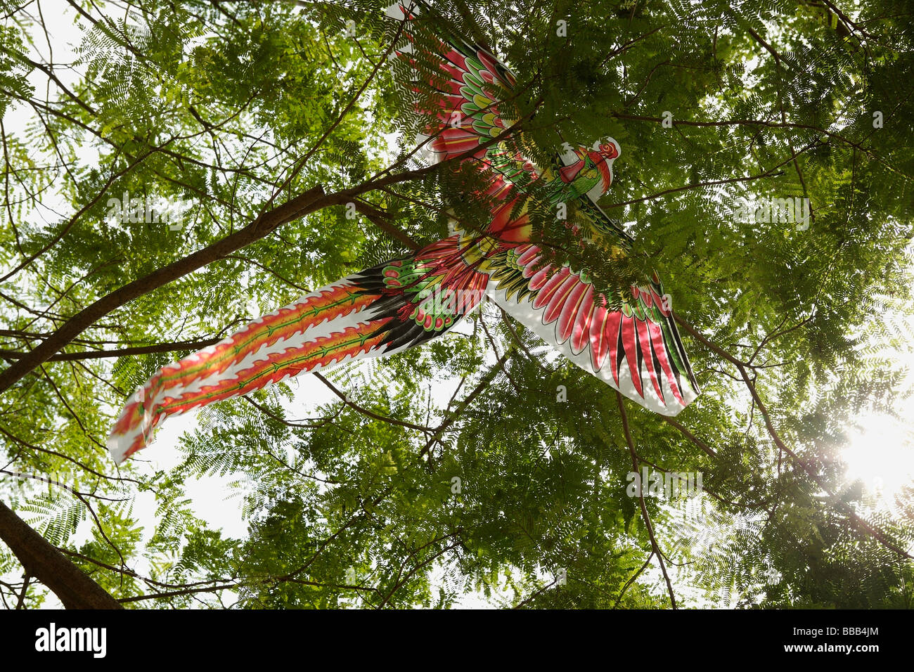 Chinesische Drachen gefangen im Baum Stockfoto