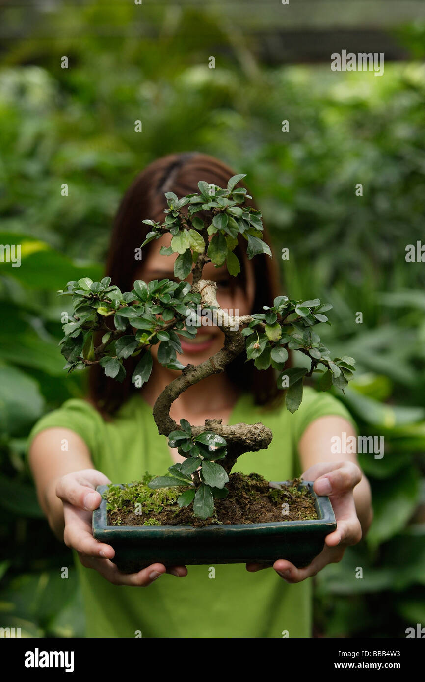 efeutute für draußen Efeutute am Moosstab kaufen main image 1