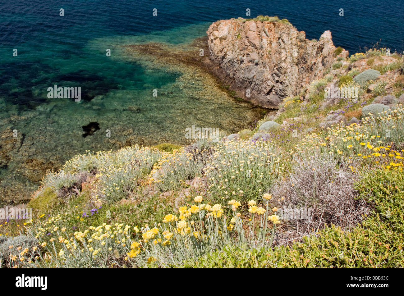 Malerische Aussicht auf die Ägäis-Küste mit wilden Frühlingsblumen BAZL Türkei Stockfoto
