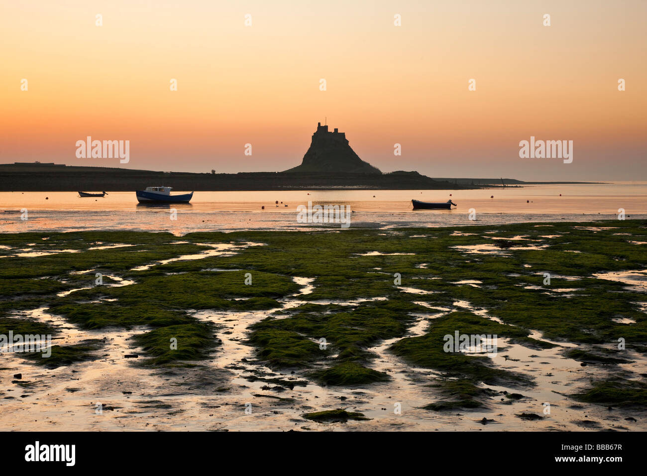 Morgendämmerung am Holy Island Northumberland England Stockfoto