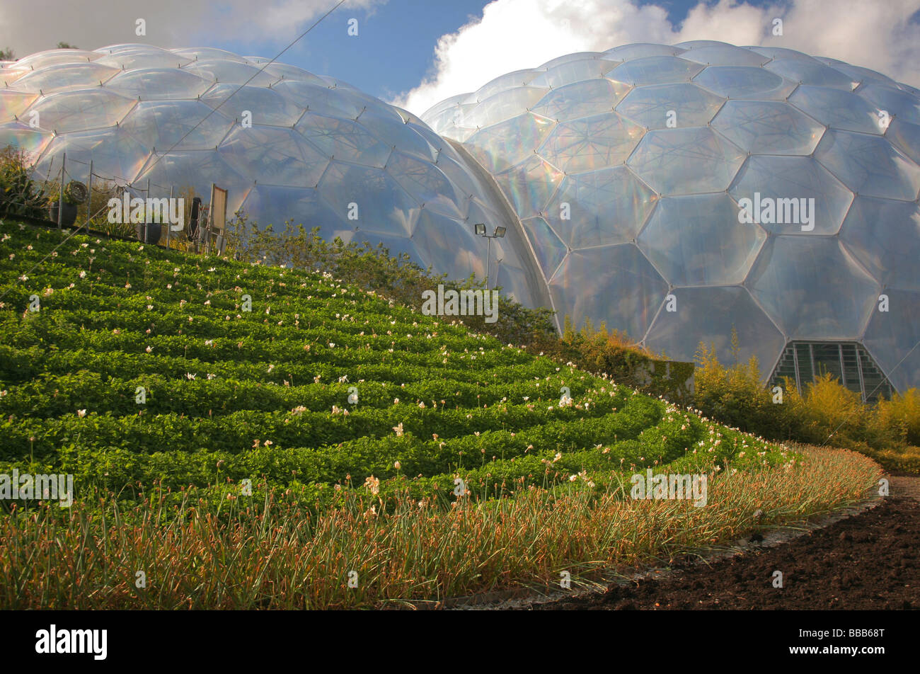 Das Eden Project, in der Nähe von St Austell, Cornwall, England, UK. Stockfoto