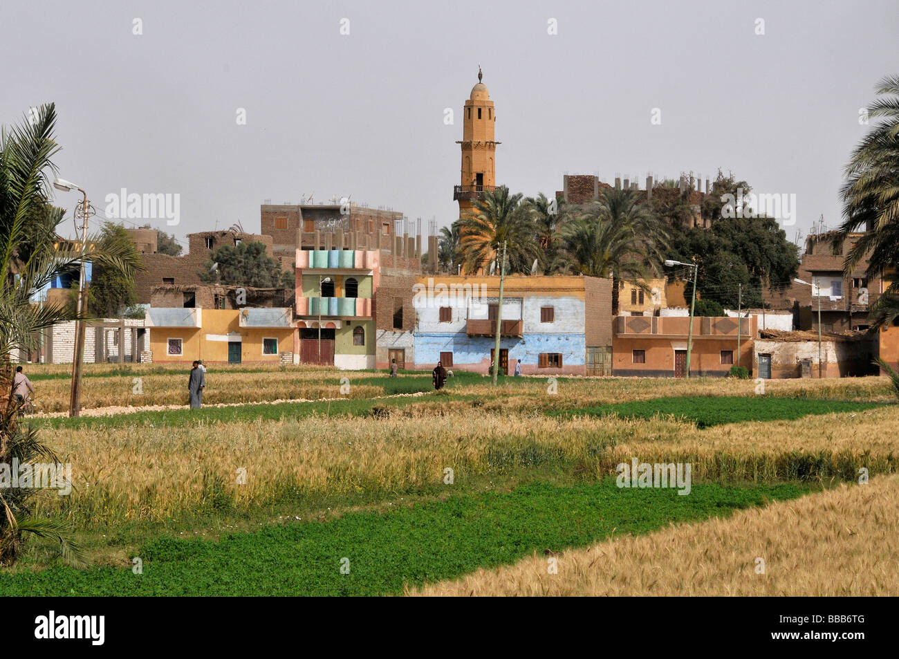 Nile River Ägypten Bauernhof Landwirt Landwirtschaft Feld Stockfoto