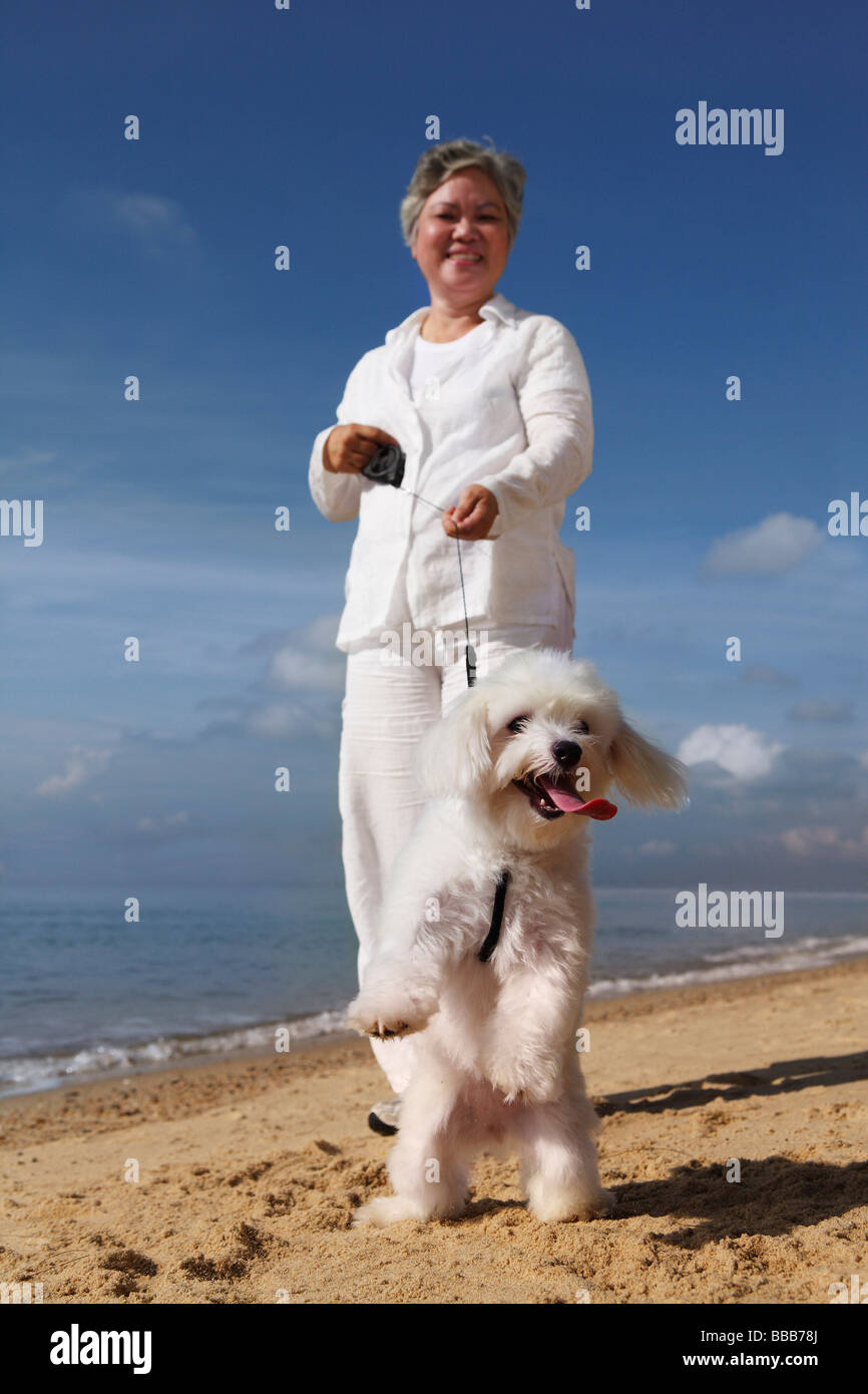 Ältere Frau zu Fuß Hund. Stockfoto