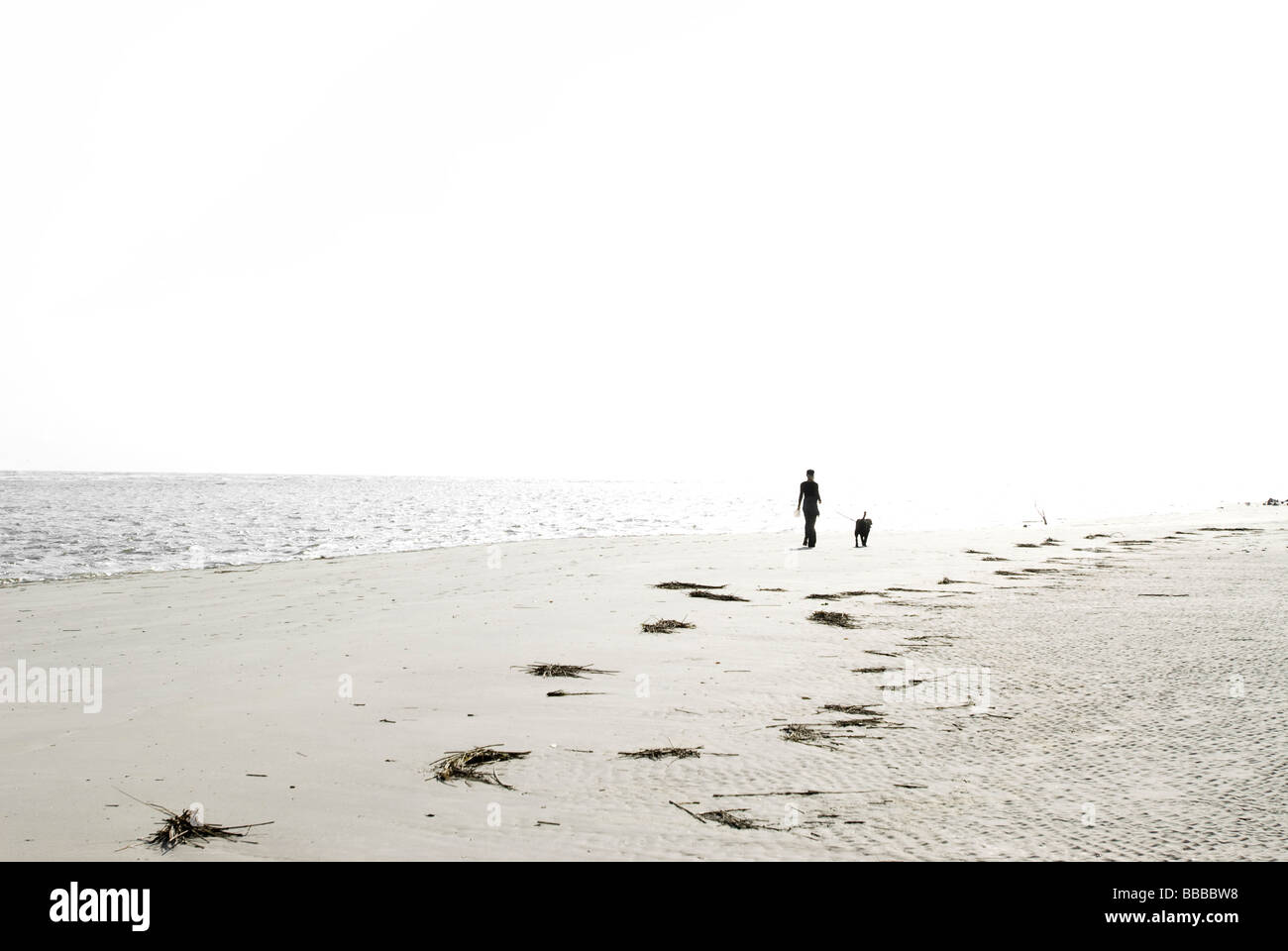 Person zu Fuß Hund am Strand Stockfoto