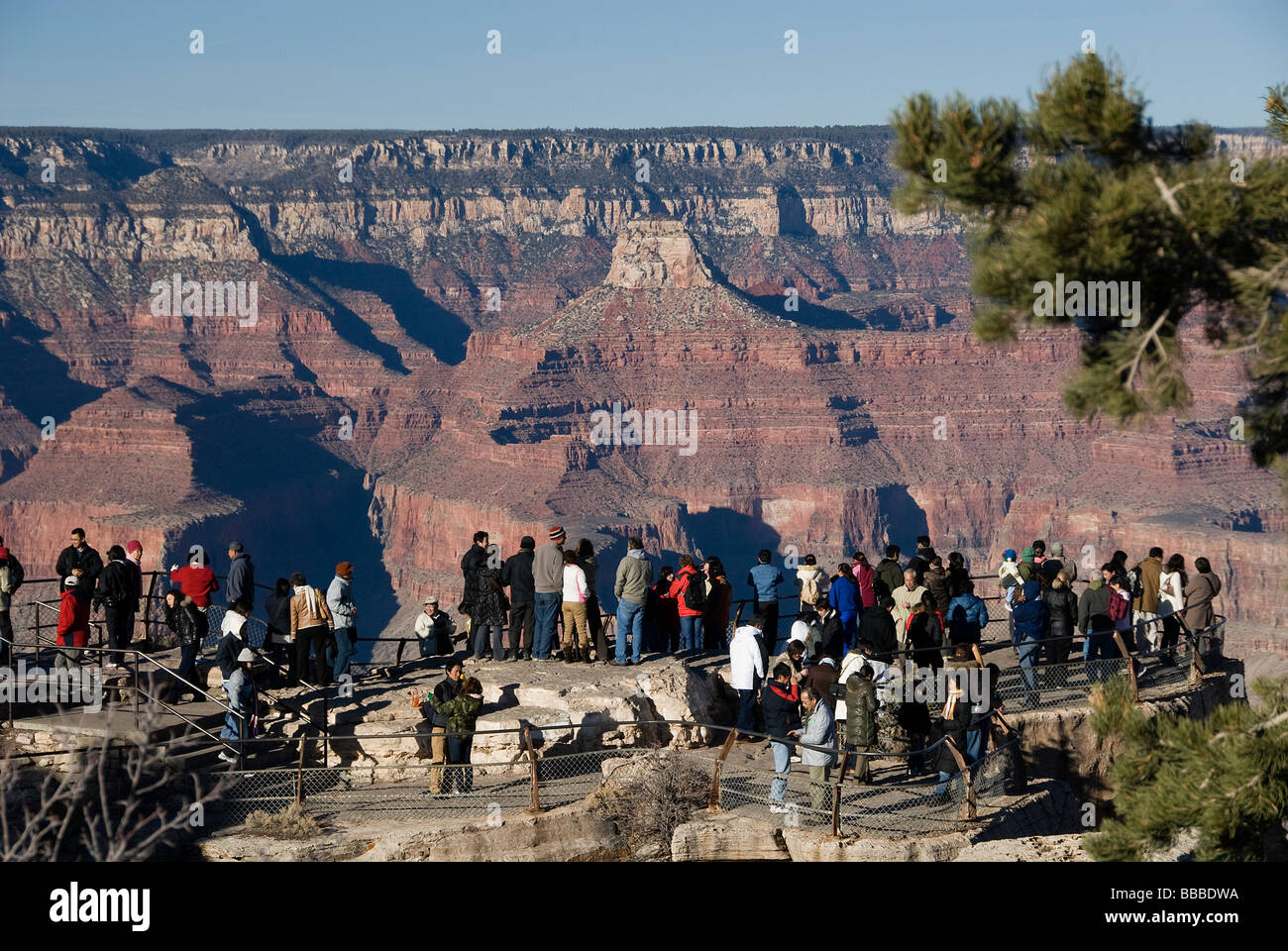 Besucher am Mather Point Grand Canyon National Park Arizona USA Stockfoto