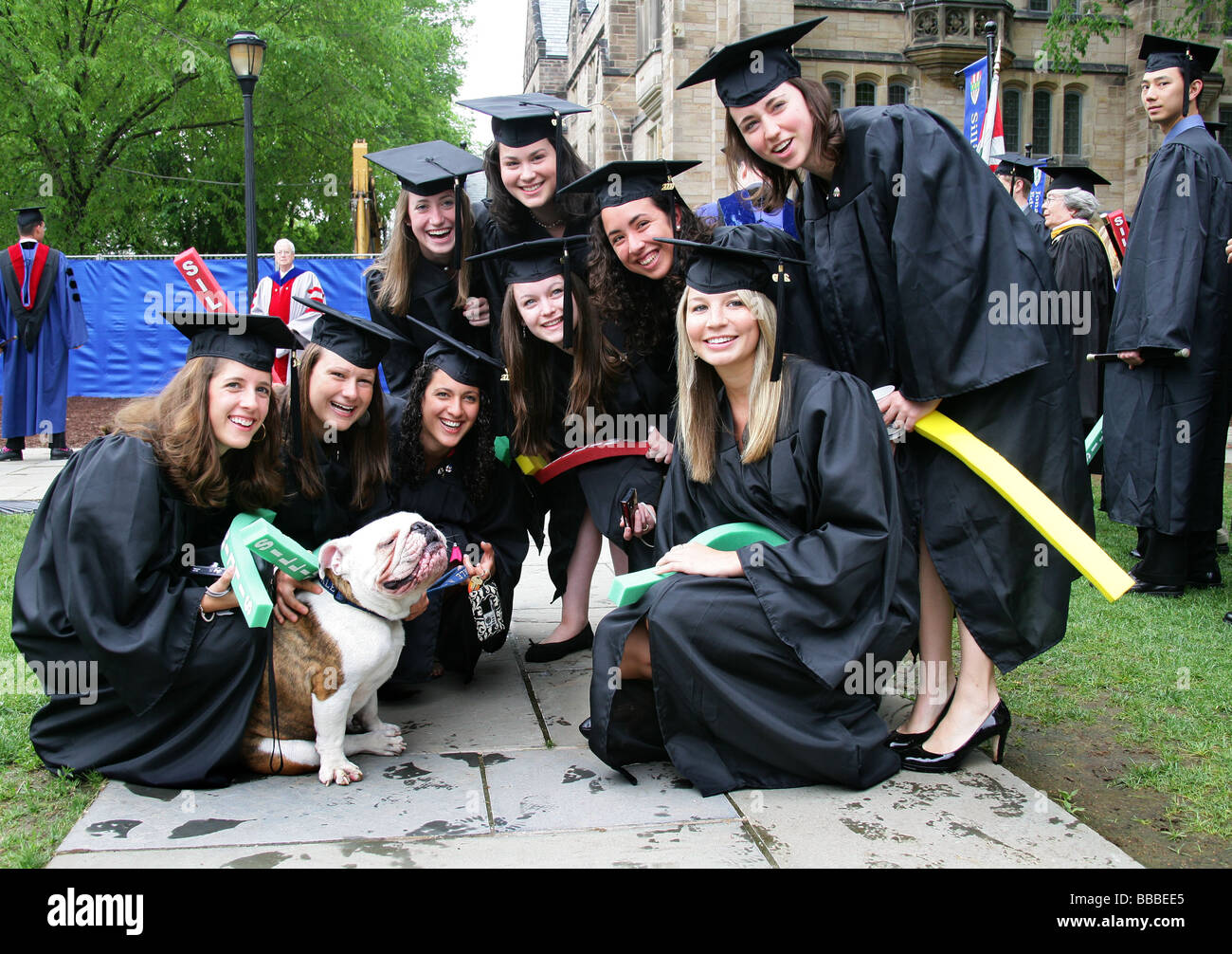 Yale-Absolventen-Pose mit Das Schulemaskottchen, eine Bulldogge vor Akademische Abschlussfeiern Stockfoto