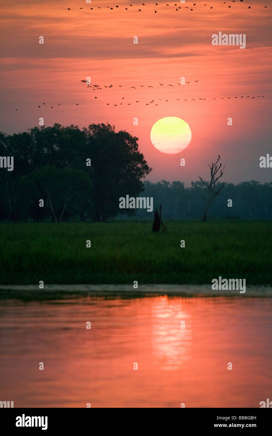 Sonnenuntergang in den Feuchtgebieten Yellow Water. Cooinda, Kakadu-Nationalpark, Northern Territory, Australien Stockfoto