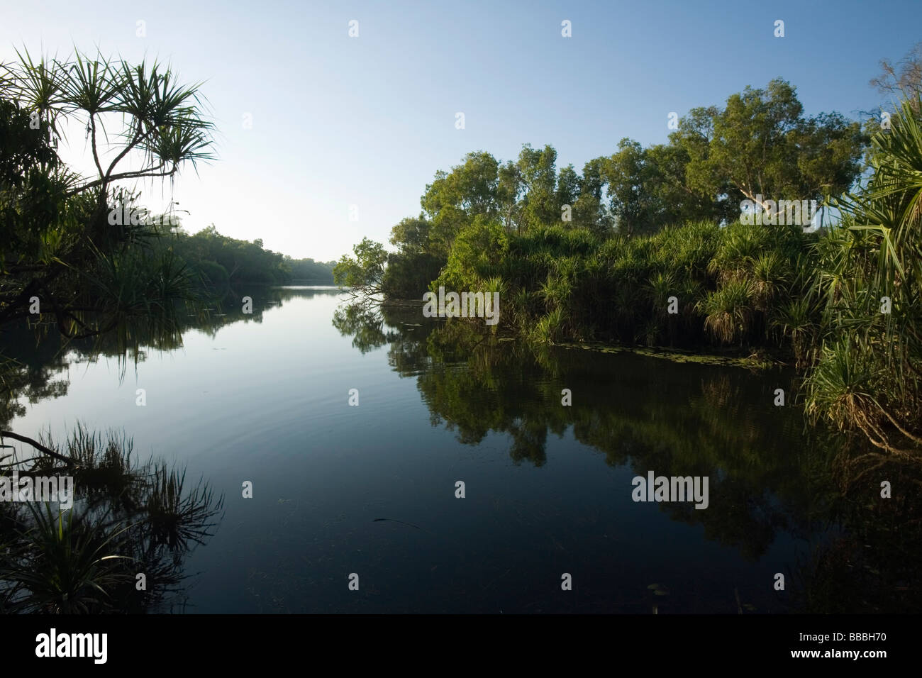 Nach Hause Billabong im Yellow Water Sumpfland.  Cooinda, Kakadu-Nationalpark, Northern Territory, Australien Stockfoto