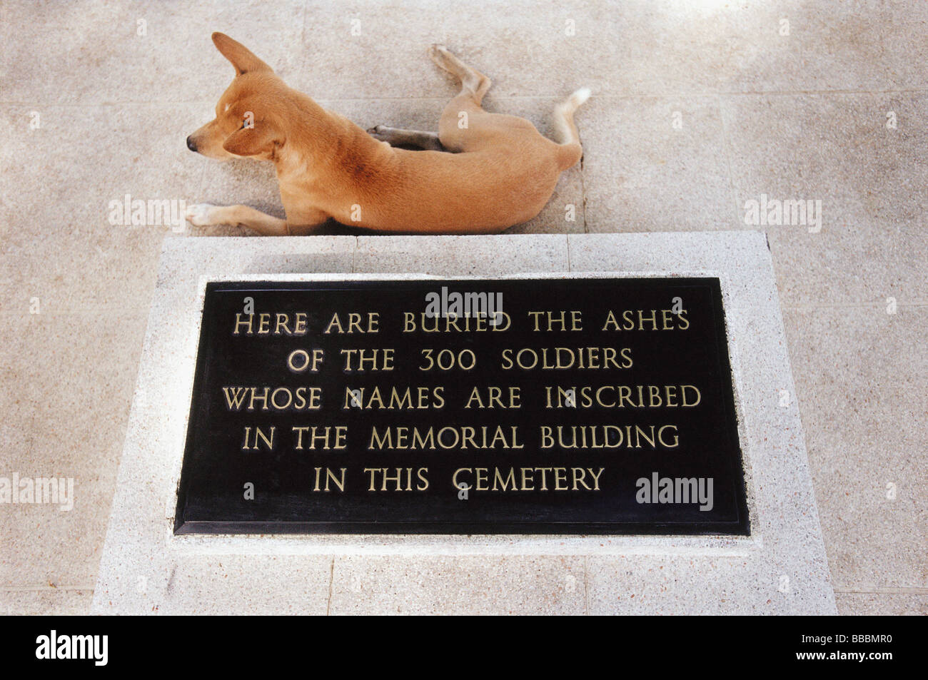 Thailand, Chung-Kai, ein Hund sitzt durch einen Stein markiert die letzte Ruhestätte von der Asche von 300 Soldaten. Stockfoto