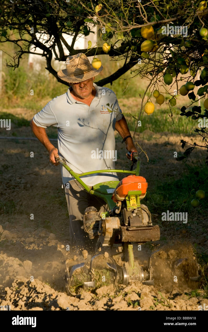 Bauer, der pflügt Feld mit Grubber Stockfotografie Alamy