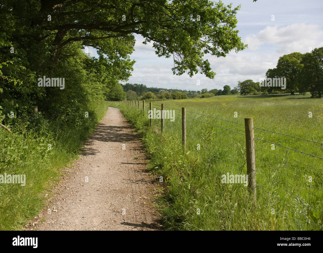 Kies Fußweg und Zyklus gewissermaßen an der Grenze zu einem Feld mit Eichen und Fechten in der Nähe von Lacock in Wiltshire, England Stockfoto