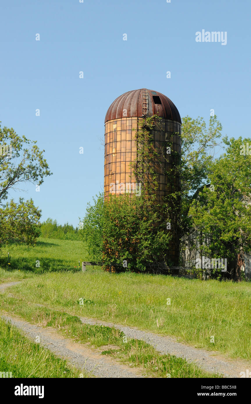 Bunte Silo auf eine ärztliche-Bauernhof im oberen Staat New York Stockfoto