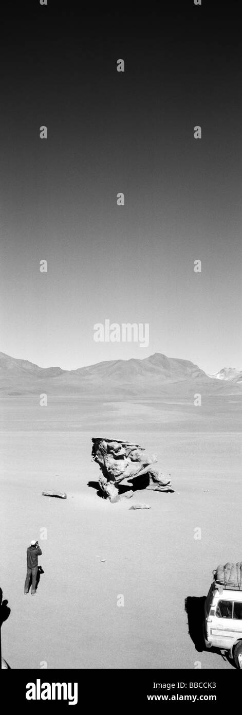 DALI-Rock-Formation, Bolivien Stockfoto