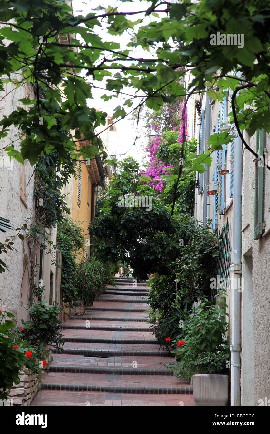 Gasse, Antibes Südfrankreich Stockfoto