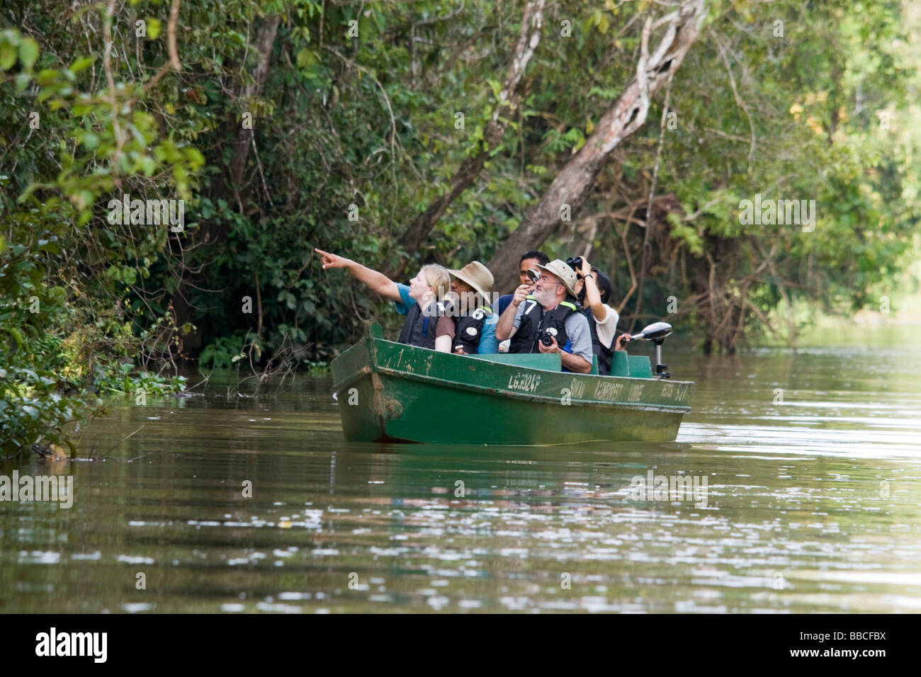 Öko-Touristen auf dem Kinabatangan Fluss mit Blick auf die Tierwelt, Malaysia, Borneo Stockfoto