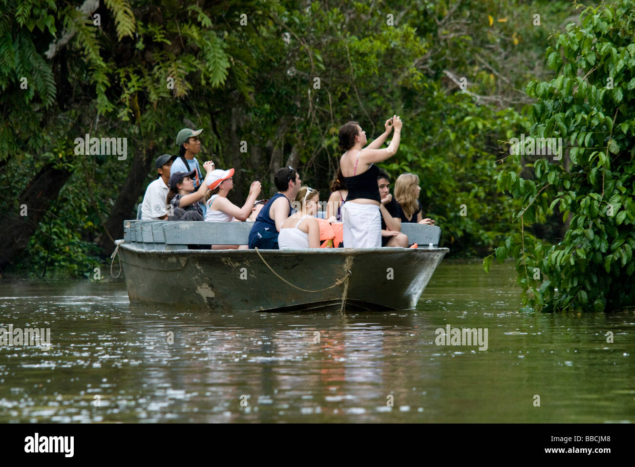 Öko-Touristen auf dem Kinabatangan Fluss mit Blick auf die Tierwelt, Malaysia, Borneo Stockfoto