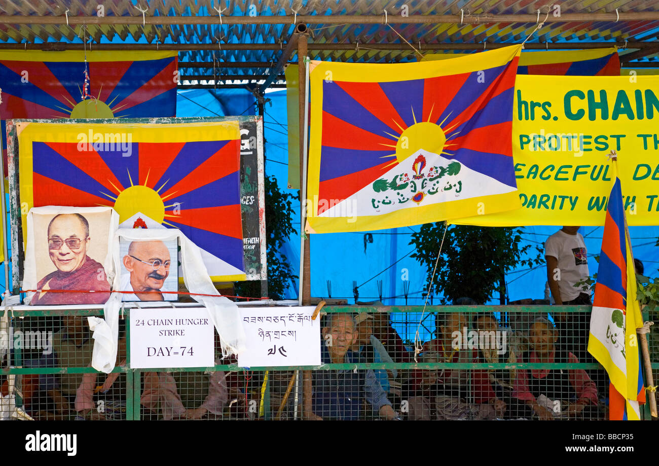 Tibetische Flüchtlinge im Hungerstreik für Tibet Rechte. McLeod Ganj. Dharamsala. Himachal Pradesh. Indien Stockfoto