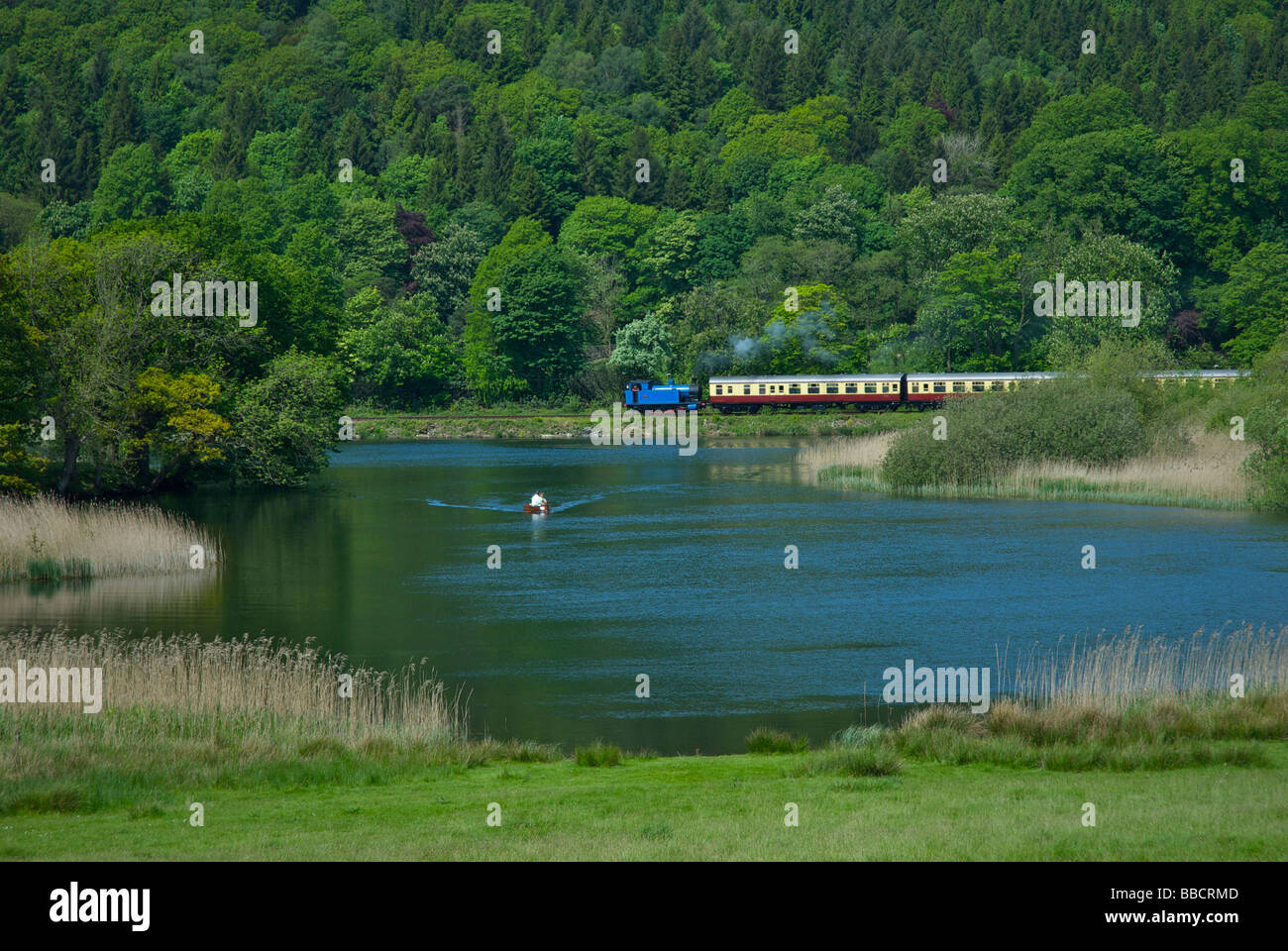 Trainieren der Lakeside & Haverthwaite Railway, Nationalpark Lake District, Cumbria, England UK River Leven Weitergabe Stockfoto